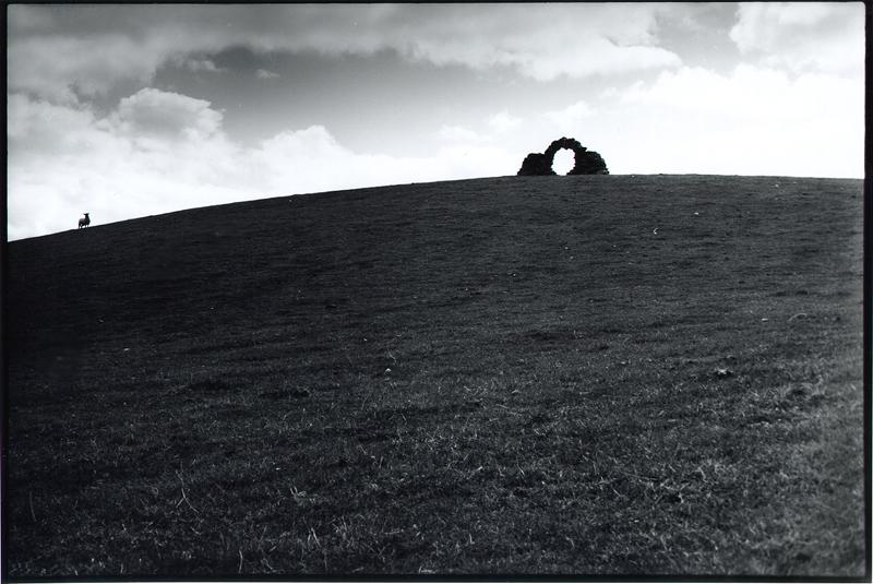 andy goldsworthy