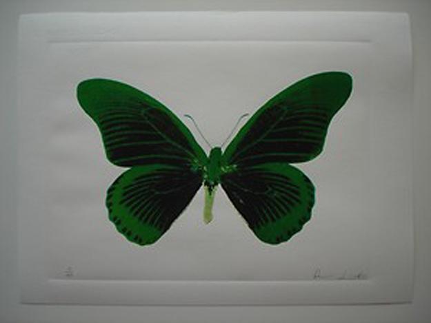 Damian Hirst Butterfly original Photogravur. Damian Hirst Butterfly original Photogravur.