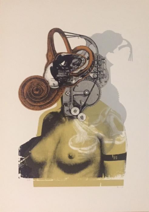 Kunny van der Ploeg siebdruck silkscreen conzert poster art of rock woman soft machines blue Kunny van der Ploeg siebdruck silkscreen conzert poster art of rock woman soft machines blue